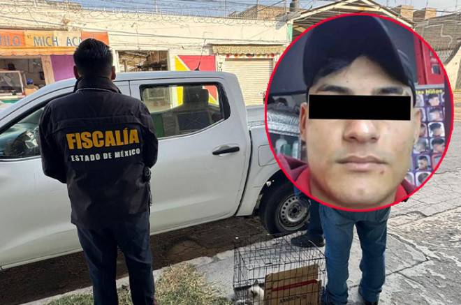 Sobrevive gatito golpeado en mercado de Ecatepec; buscan a agresor