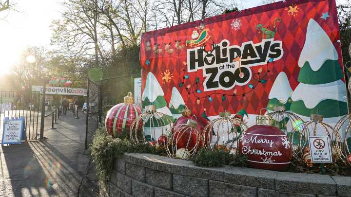 See lights, displays at the Greenville Zoo's Holidays at the Zoo event