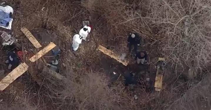 Human skull found in Coney Island, police say