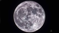 La última luna llena de 2025 brillará este 4 de diciembre en el cielo