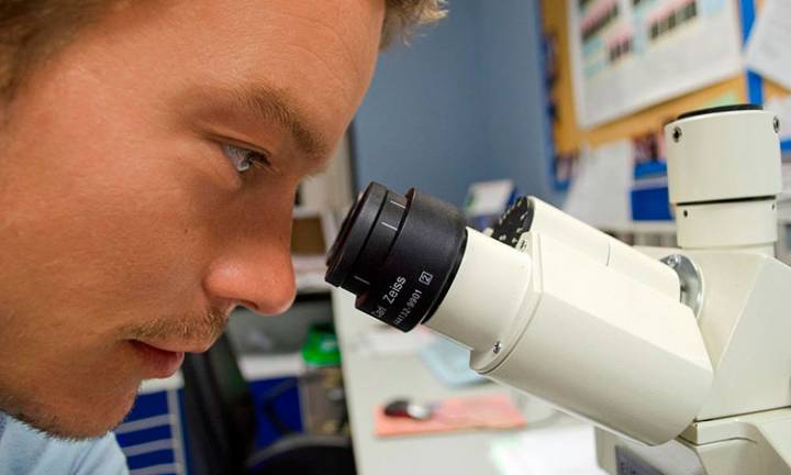 NeuMap: revela cómo se organizan los neutrófilos