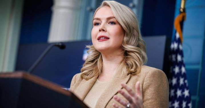 Woman with family ties to White House press secretary Karoline Leavitt released from ICE custody