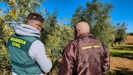 La Guardia Civil refuerza la lucha contra los robos en explotaciones agrícolas en la provincia
