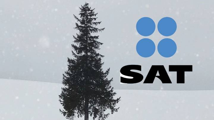SAT 2025: ¿las oficinas cerrarán en diciembre por periodo vacacional?