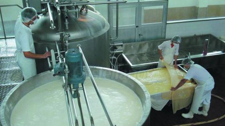 Industria lácteo reporta un 2025 positivo para la producción de leche y queso