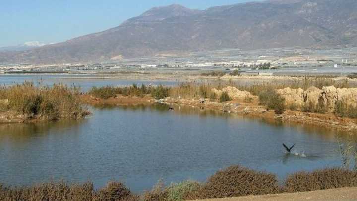 Espina regenera el agua de Almería para el riego agrícola