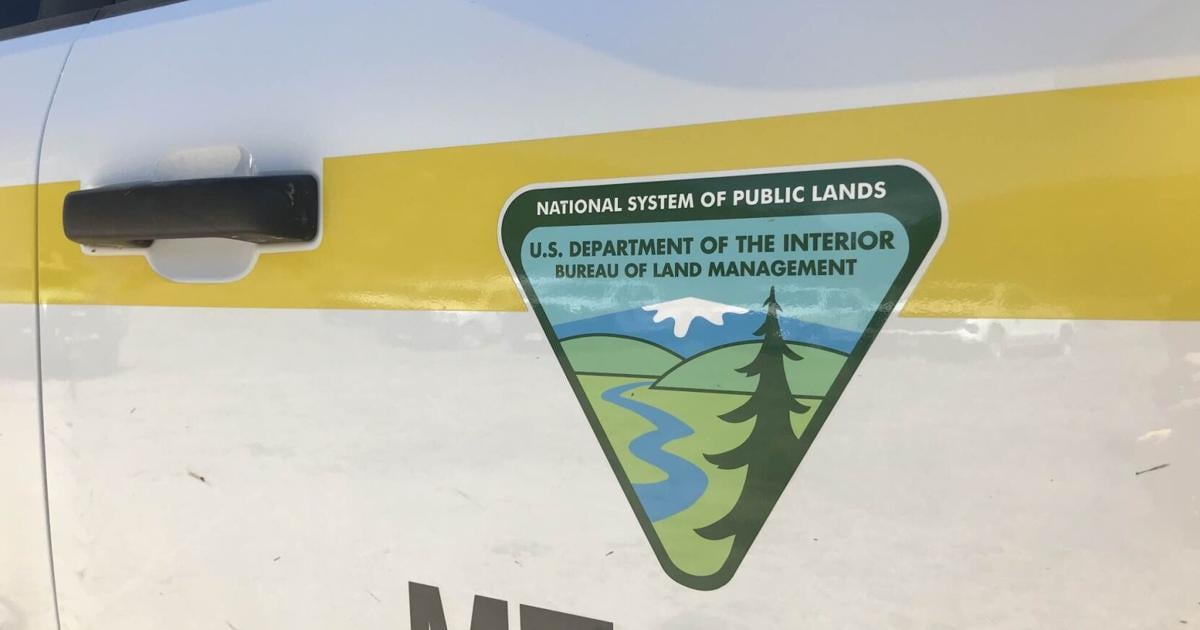 The Bureau of Land Management introduces $1 holiday tree permits