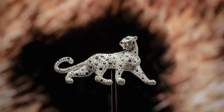 Cartier Debuts 'Into the Wild' Experience at Art Basel Miami Beach