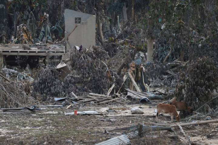 Deadly Sumatra flooding triggers memories of Indian Ocean tsunami