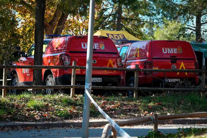 Cataluña cree que la peste porcina pudo entrar en España por un bocadillo con embutido contaminado ingerido por jabalíes