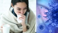 ¿Supergripe o resfriado común?; aprende a diferenciar los síntomas de la influenza H3N2