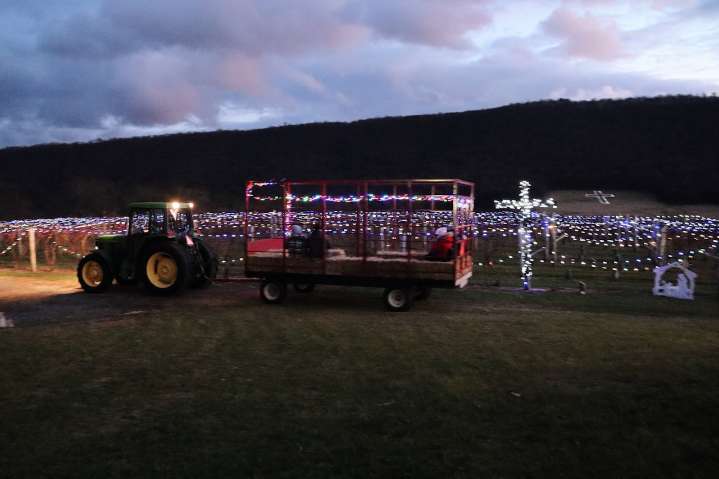 Central Pa. winery hosts 26th annual vineyard lighting event, raises $8K