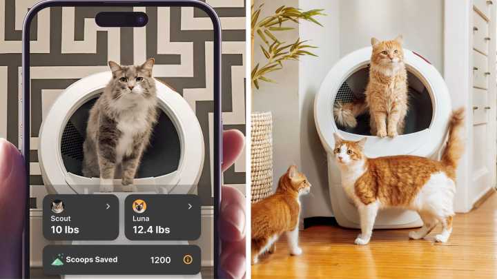 Litter-Robot holiday sale: $152 off self-cleaning litter boxes