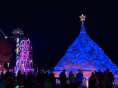 South Florida's holiday parades, tree lightings & photo opps all in one place