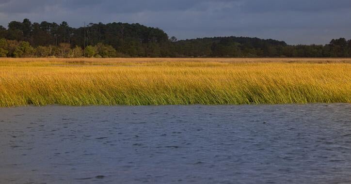 Chesapeake Bay Leaders Approve Next Phase of Cleanup, Shapiro to Chair Executive Council