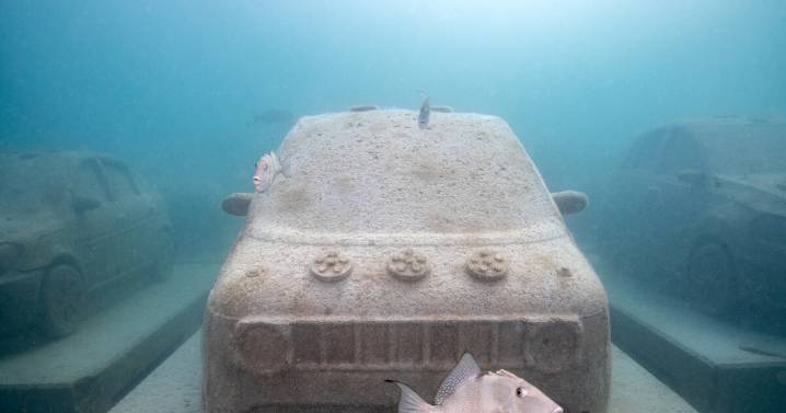 Miami Beach’s new traffic jam frolics with the fishes