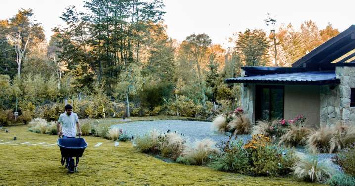 La magia de praderas y pastizales: cómo armar jardines naturalistas en la Patagonia