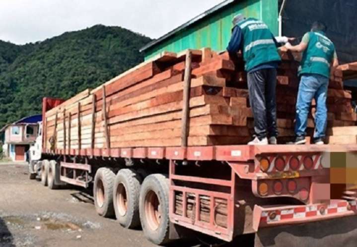 Puno: condenan a ocho años de prisión para sujetos implicados en tráficio ilegal de madera