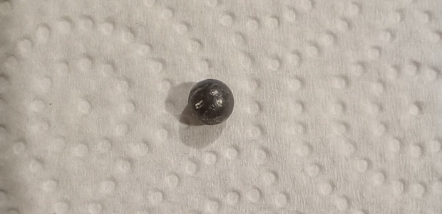 ¿Qué no pasa como sociedad?, mataron un gatito con un rifle