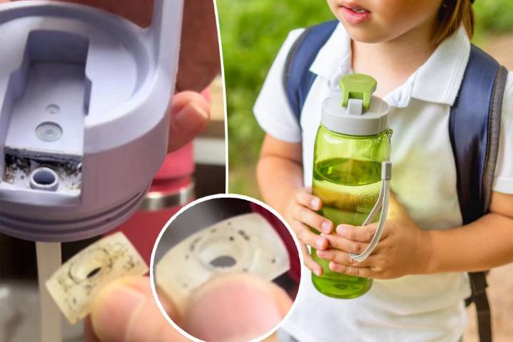 Dad finds mold in popular water bottle