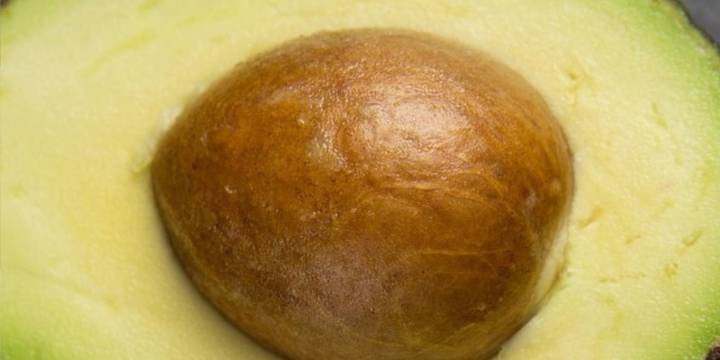 Perú redujo sus rechazos por cadmio en paltas y ya superó lo exportado en 2024