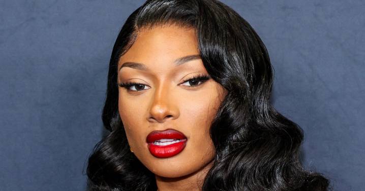 Megan Thee Stallion wins defamation civil suit against blogger