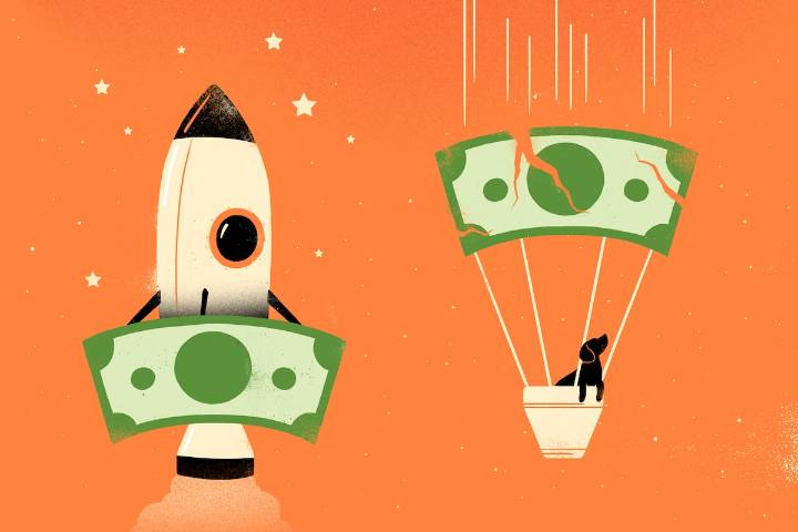 The Globe’s stars and dogs for the week