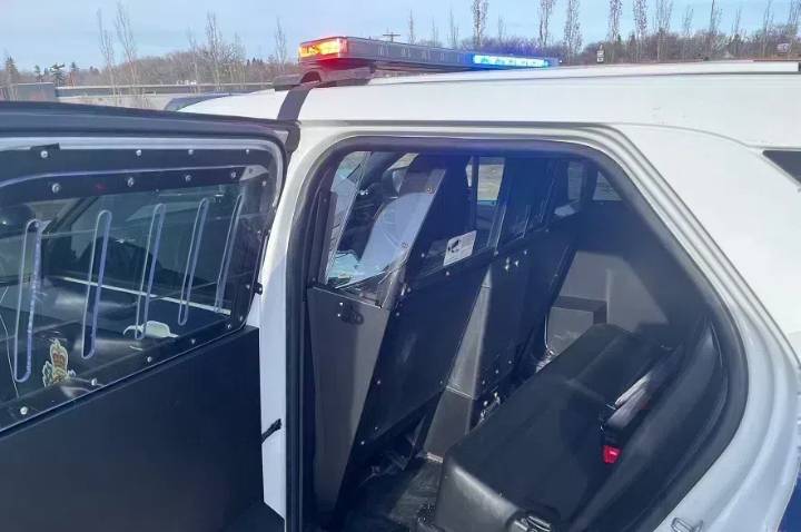 Teen girl arrested after allegedly firing bear spray and kicking Saskatoon police dog