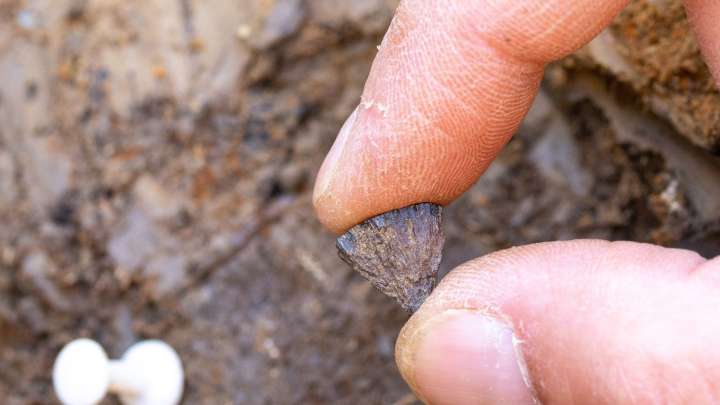 Archaeologists Find Oldest Evidence of Fire
