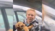 Adopted Goldendoodle Puppy Returns To Michigan After Shocking Turn Of Events
