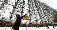 El moho negro de Chernobyl que parece "alimentarse de radiación"