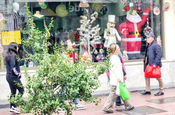 Las proyecciones del comercio navideño y cuándo sería el peak de compras