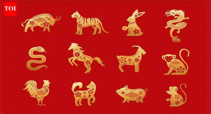 Five Chinese Zodiac Signs Destined for a Total Transformation in the Fire Horse Year 2026