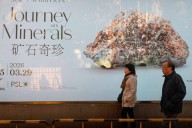 El futuro del ‘electroestado’ chino