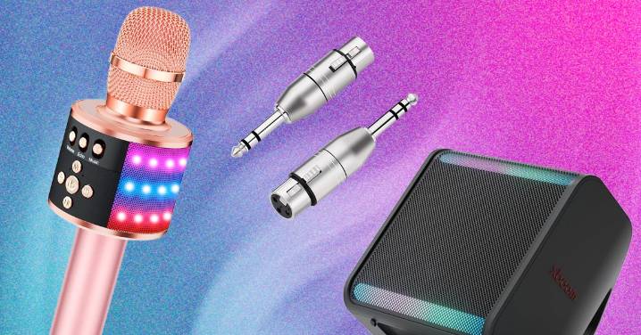 We Tried a Bunch of Karaoke Speakers to Find the Best