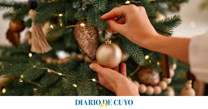 El árbol de Navidad este 2025