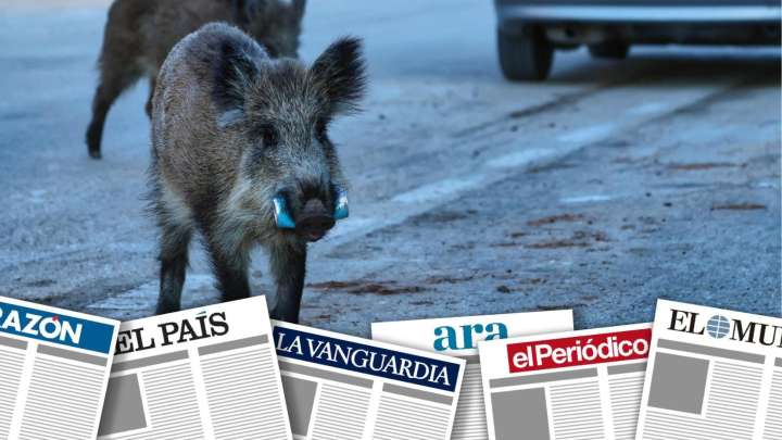 La UME contra la peste y Orriols, de espaldas a España