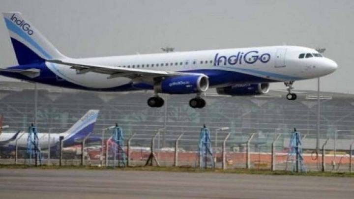 42 IndiGo Flights Cancelled: Bengaluru Airport Hit By Major Disruptions India News