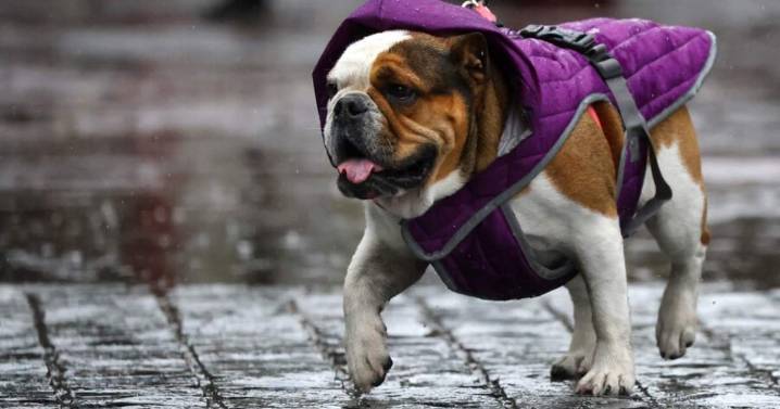 Las comunas de Santiago en las que caerá lluvia hoy, según el tiempo
