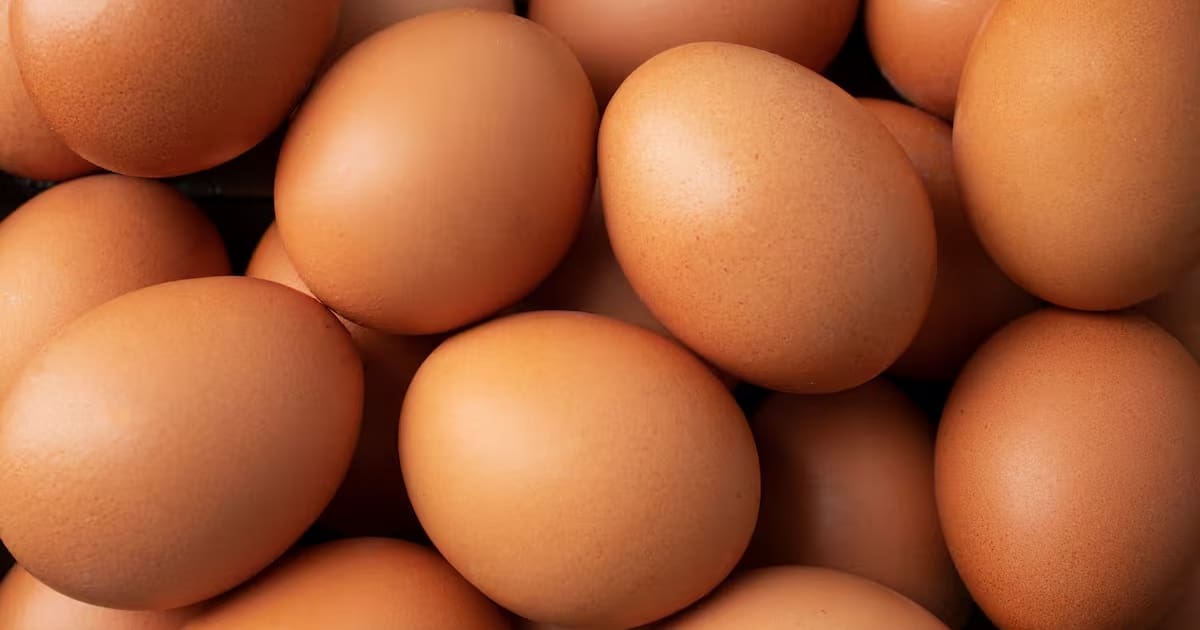 Oportunidad para Santander: Estados Unidos aprueba ingreso de huevo colombiano para sus industrias