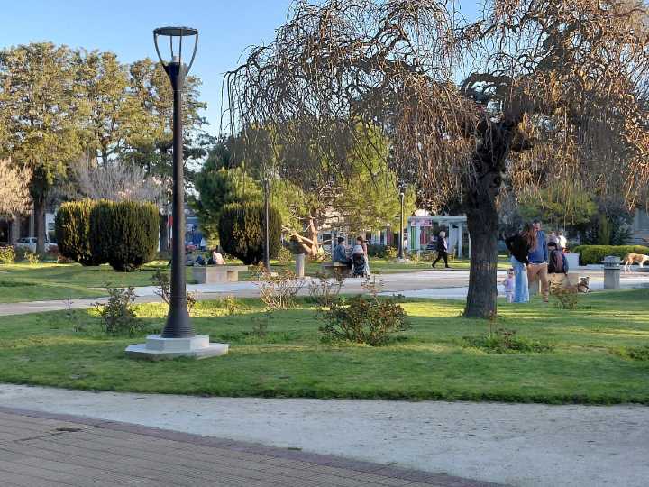 ANSES confirmó el calendario de pagos para el mes de Diciembre 2025