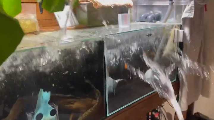 Trending Now Weather Videos