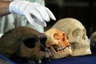 Scientists Investigate What Killed Off Hobbit