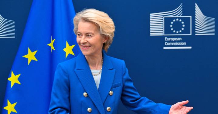 Un año del Gabinete Von der Leyen: atrapada por la polarización y sin apenas margen de maniobra