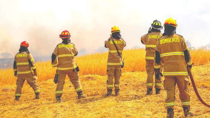 Llaman a evacuar sectores de Las Cabras por incendio forestal que amenaza con llegar a sectores poblados