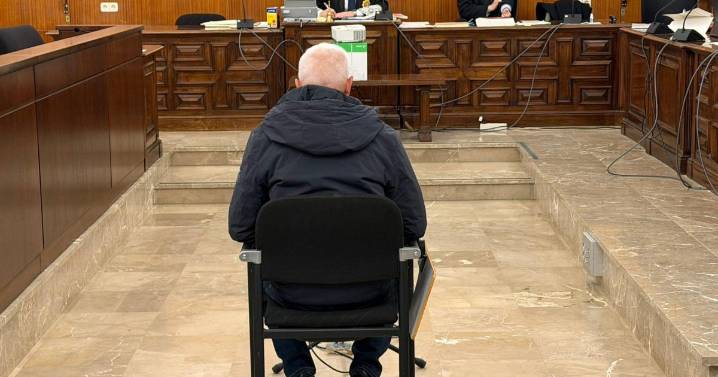 El indigente que se coló en casa de una trabajadora social en Palma y le rajó la cara con una espátula acepta seis años de cárcel