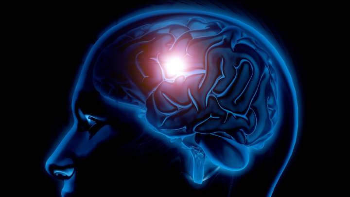 Why the brain gets tired: Researchers uncover the biology of mental fatigue