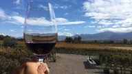 El ascenso del Cabernet Franc en Argentina: los secretos detrás de su éxito