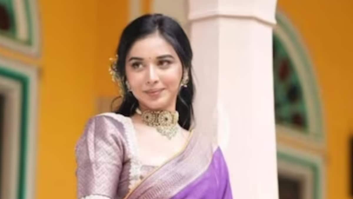 ‘800 Sarees, The Glam & A Masterplan’: Did Tanya Mittal Convert Bigg Boss 19 Into Her Personal Marketing Stage?