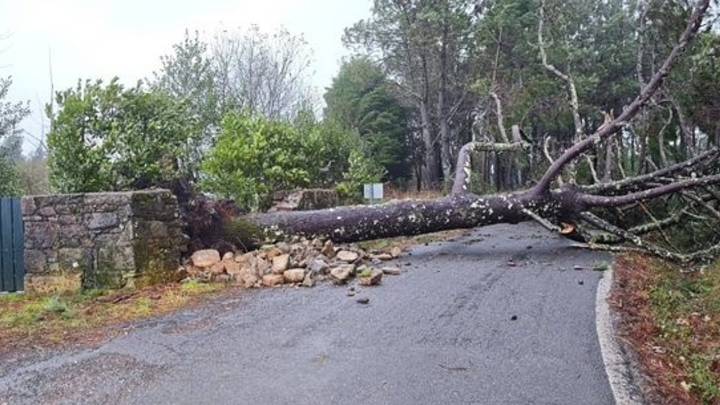 Galicia registra más de 150 incidencias por el temporal, con caídas de árboles y daños en fachadas